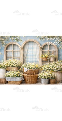 Tło fotograficzne „Rustykalne okna z koszami stokrotek” | E871